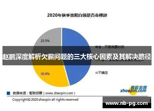 赵鹏深度解析欠薪问题的三大核心因素及其解决路径