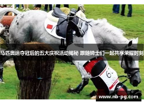 马匹奥运夺冠后的五大庆祝活动揭秘 跟随骑士们一起共享荣耀时刻